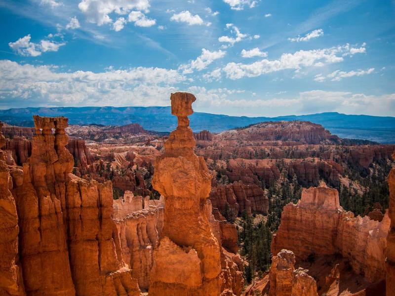 feedback screenshot 2